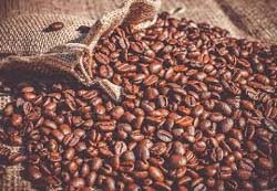 Colombian European Beans 2/ 80 OZ